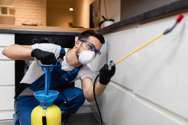 Trusted Aitkin, MN Pest Control Experts