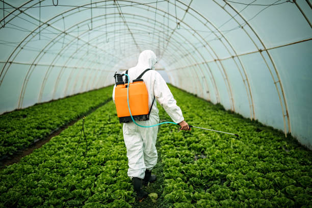 Best Pest Prevention Services  in Aitkin, MN