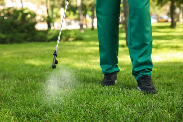 Best Local Pest Control Services  in Aitkin, MN