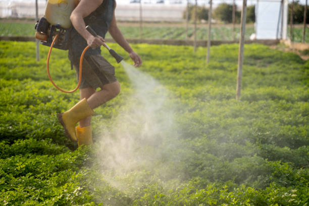 Best Pest Control Near Me  in Aitkin, MN