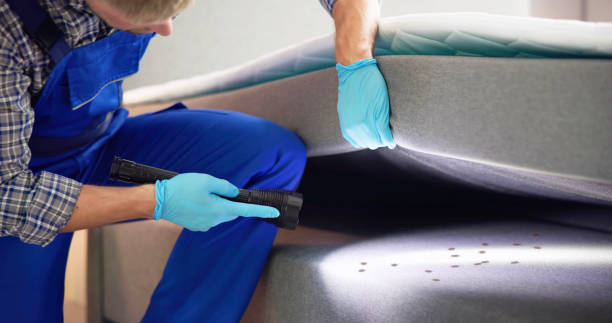 Best Pest Control Near Me  in Aitkin, MN